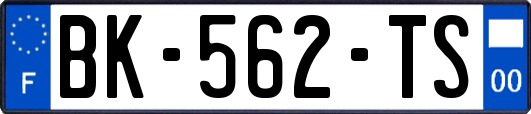 BK-562-TS