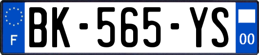 BK-565-YS