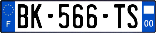 BK-566-TS