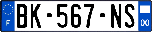 BK-567-NS