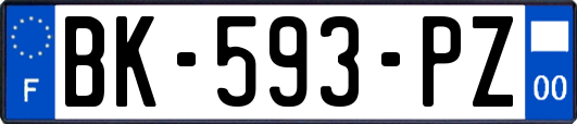 BK-593-PZ