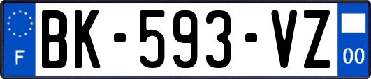 BK-593-VZ