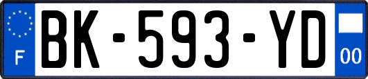 BK-593-YD