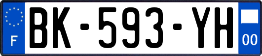 BK-593-YH