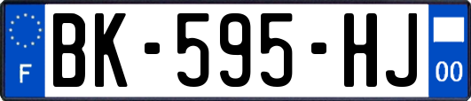 BK-595-HJ