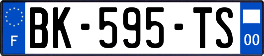 BK-595-TS