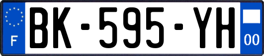 BK-595-YH