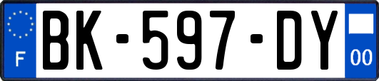 BK-597-DY