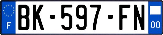 BK-597-FN