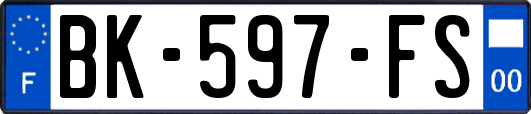 BK-597-FS