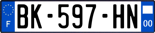 BK-597-HN