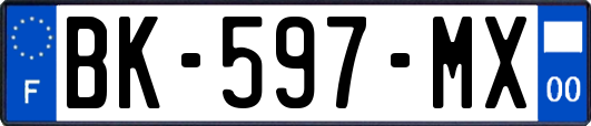 BK-597-MX