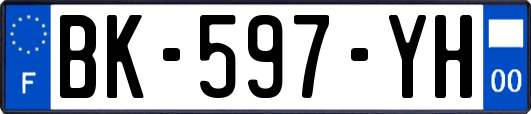 BK-597-YH