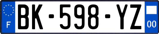 BK-598-YZ