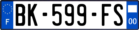 BK-599-FS