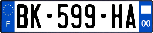 BK-599-HA