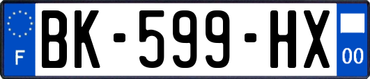 BK-599-HX