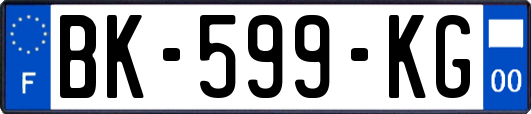 BK-599-KG