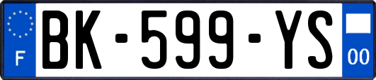 BK-599-YS