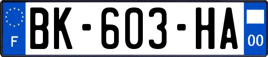 BK-603-HA