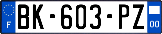 BK-603-PZ