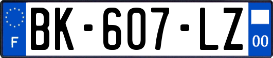 BK-607-LZ