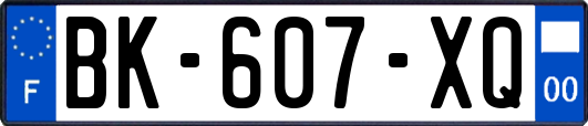 BK-607-XQ