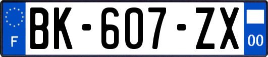 BK-607-ZX