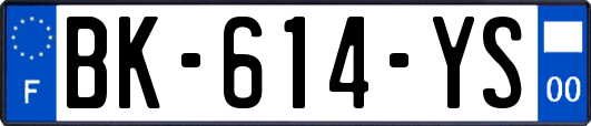 BK-614-YS