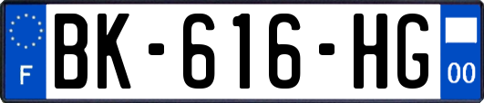 BK-616-HG