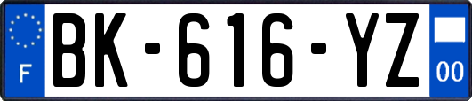 BK-616-YZ