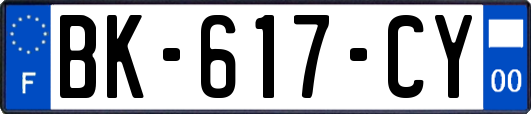BK-617-CY