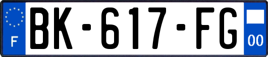 BK-617-FG