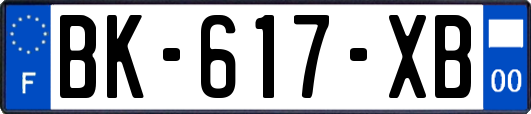 BK-617-XB