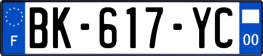 BK-617-YC