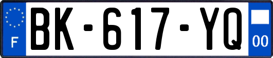 BK-617-YQ