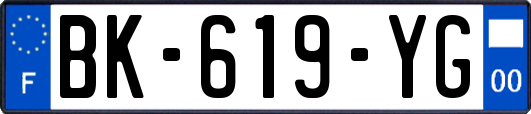 BK-619-YG