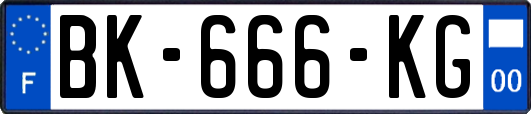 BK-666-KG