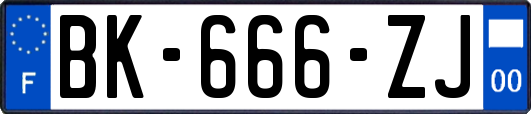 BK-666-ZJ