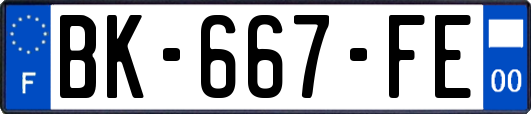 BK-667-FE