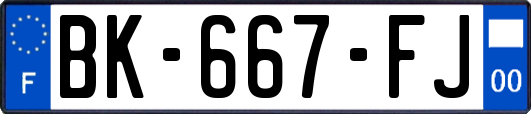 BK-667-FJ