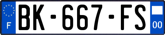BK-667-FS