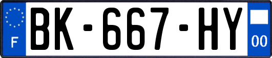 BK-667-HY