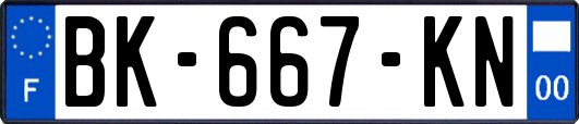 BK-667-KN