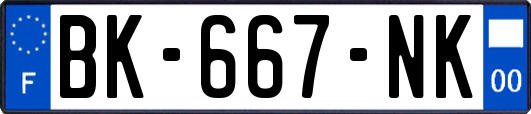 BK-667-NK