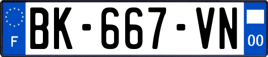 BK-667-VN