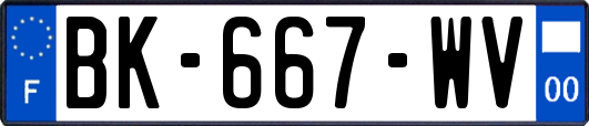 BK-667-WV