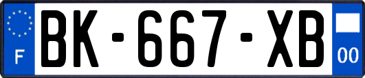 BK-667-XB