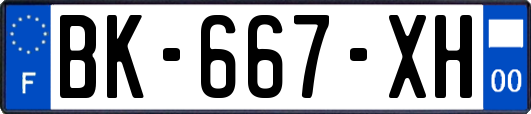 BK-667-XH