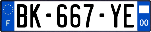 BK-667-YE